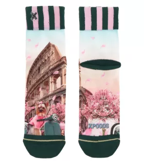 Chaussette expressive Yorkshire