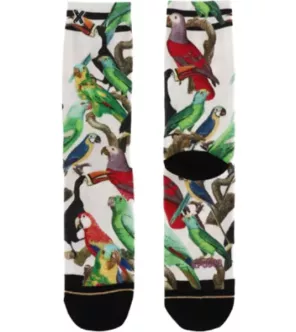 Chaussette expressive Perroquet